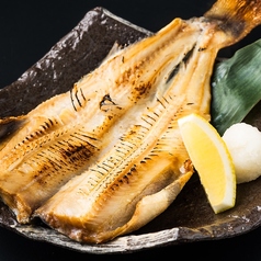 居酒屋 深夜食堂 女子大 やまぐちの特集写真