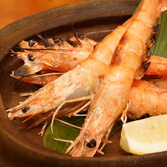 初代鳥蔵 海浜幕張店特集写真1