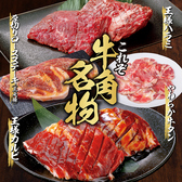 牛角 市川コルトンプラザ店の詳細