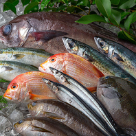 ◆当店自慢の鮮魚◆ 
