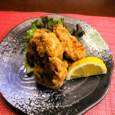 ジャンボ鶏から揚げ（３個）