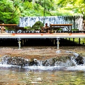 貴船 水源の森 天山の写真
