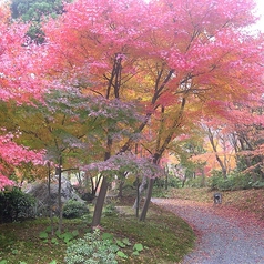 松山閣 松山本店の外観3