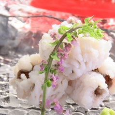 鱧落とし　梅肉