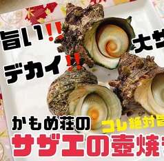 かもめ荘のコース写真