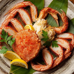 掌 てのひらのコース写真