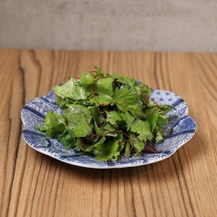 花椒香るパクチーサラダ