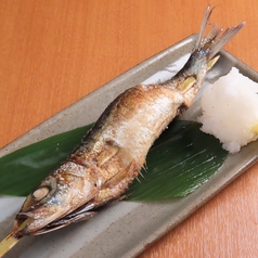 (魚)大とろいわし一本焼き