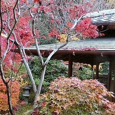 桜茶屋 東岩槻の特集写真