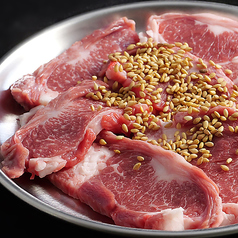 タンゲタカルビ