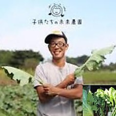 こだわりの厳選野菜 子どもたちの未来農園