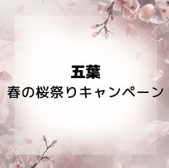 五葉 いつはの雰囲気1