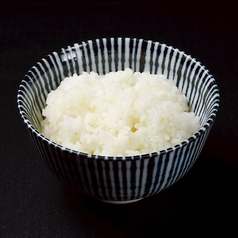 ご飯
