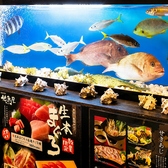 鮮度抜群な生簀(活魚)