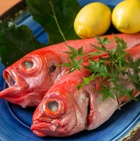 毎朝目利き！旬彩&鮮魚が自慢♪コースで満足度◎