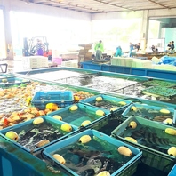 全国の港から届く旨い魚！