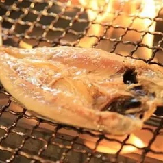 カマスの開き干し