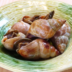 バイ貝の旨煮
