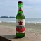 BINTANG