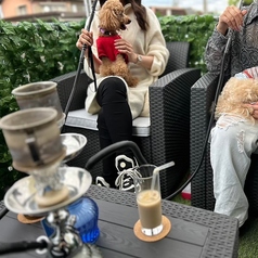 Shisha cafe HORAFUKIN シーシャ カフェ ホラフキンのコース写真