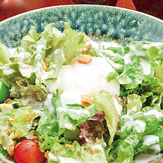 温玉シーザーサラダ/サーモンユッケ