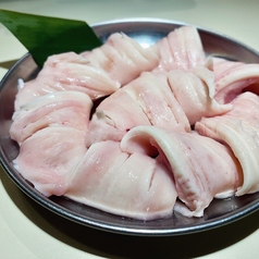 うちわ
