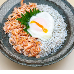 しらすと桜エビ丼