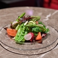 料理メニュー写真 前菜各種