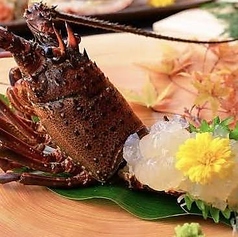 餃子NO 1の特集写真