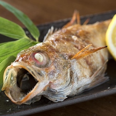 居酒屋 はち丸 金沢駅前 別館のコース写真