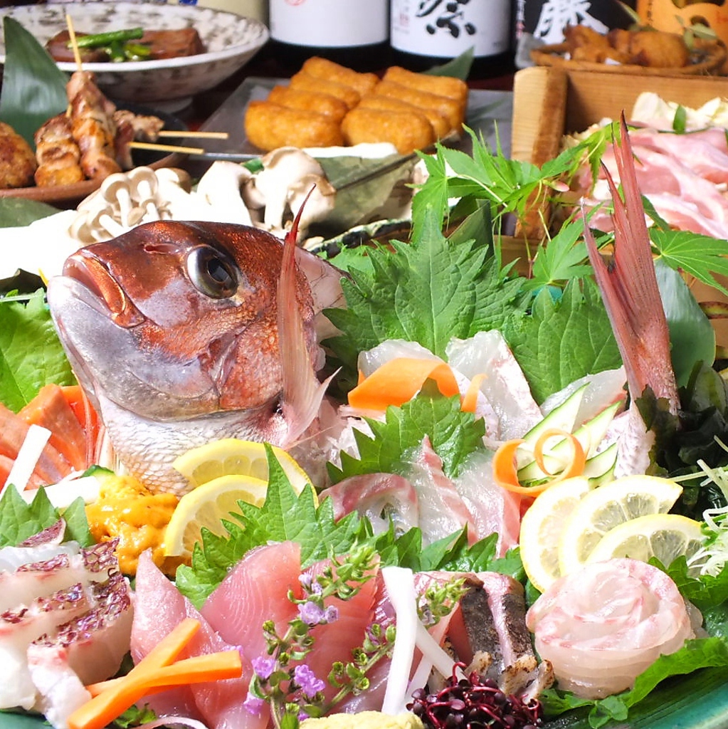 その日にさばいた新鮮な魚介類が豊富に揃ってます！6000円コースは豪華姿造付★