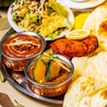 インド料理マハラジャダイニング静岡店のおすすめポイント2