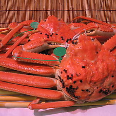 山陰旬華新鮮組のコース写真