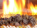 料理メニュー写真 【0201】薩摩地鶏の炭火あぶり焼/【0202】ヤゲン軟骨のあぶり焼