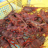 海鮮問屋 城のおすすめ料理2