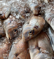 魚屋だからできる抜群の鮮魚の品ぞろえ！