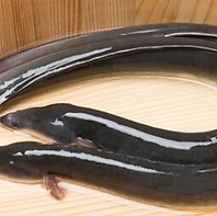 雑味のない極上の旨味！厳選された国産「ニホンウナギ」