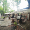 LION CAMP