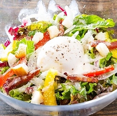 新鮮な野菜で肉や牡蠣と一緒にどうぞ！