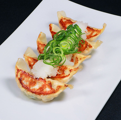 ゆかりの大阪ねぎ餃子(5ヶ)