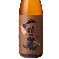 一粒の麦（麦焼酎）