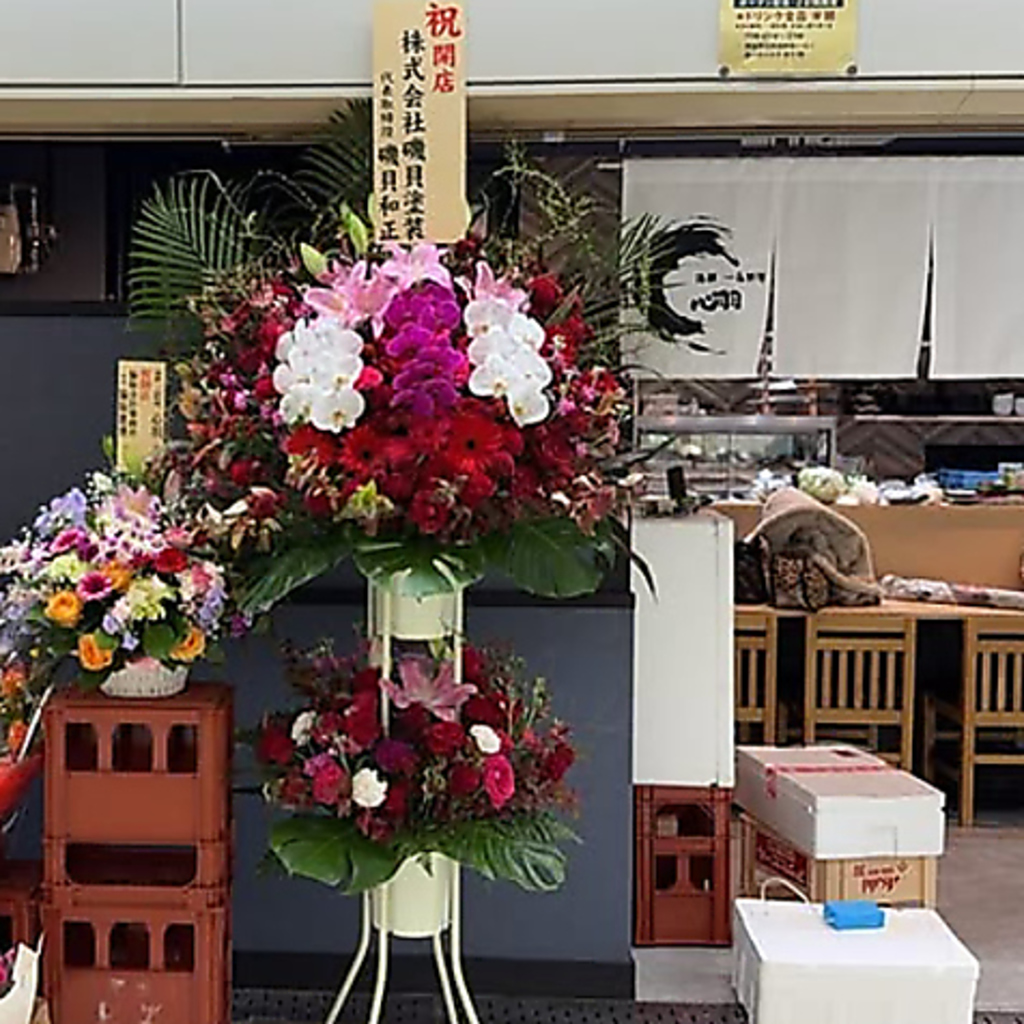 祝開店。清潔感のある店内で、市場直送の鮮魚と共に、ゆったりと至福のひと時をお過ごしください。