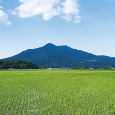 いばらき地産地消の食材を使用しております。