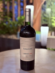 カルメネール CA1アンデス（赤）