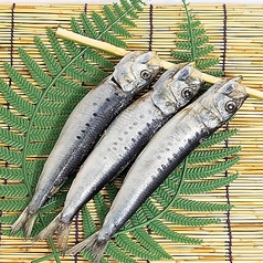 阿久根産 大羽いわし丸干し