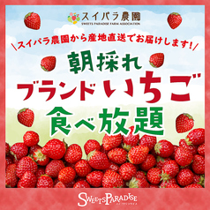 スイーツパラダイス SWEETS PARADISE 広島パルコ店の写真