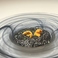 Risotto×魚介 Risoniの画像