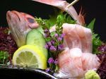 【のどぐろ刺身】　新潟の高級魚をお刺身で。県外の方にも是非味わって頂きたい逸品