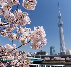 屋形船 芝浦 石川 田町 居酒屋 ネット予約可 ホットペッパーグルメ