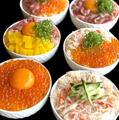 A５和牛至福のミニ丼